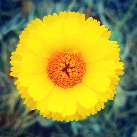 Meet your Posher, Karen - Picture 1 of 1